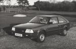 Datsun Stanza Hatchback 1981 года